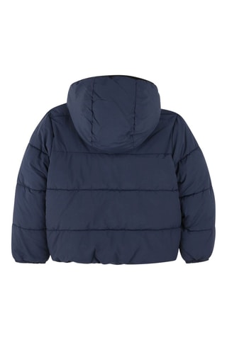 Gewatteerde Jas met Capuchon - Marineblauw - Timberland