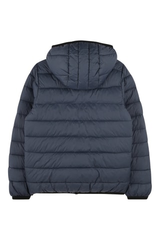 Gewatteerde Jas - Marineblauw - Timberland