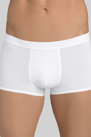 Boxer - Wit