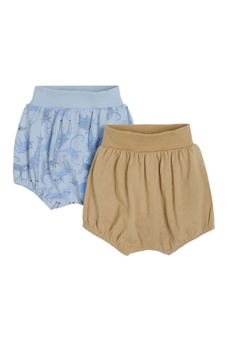 2 bloomers Marron clair et ciel