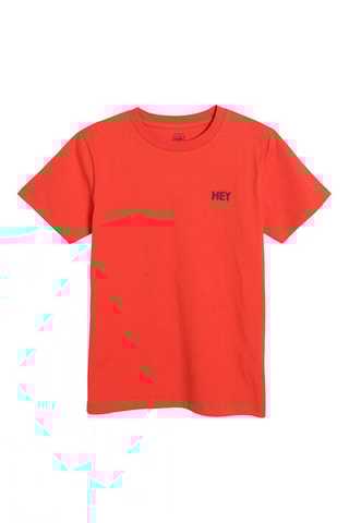 2 t-shirts - Gris et orange