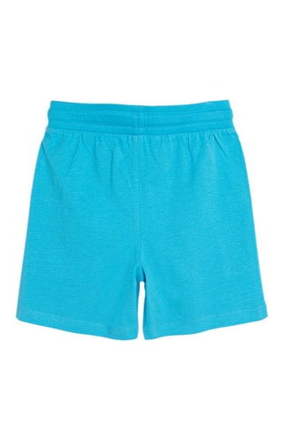 Bermuda Turquoise