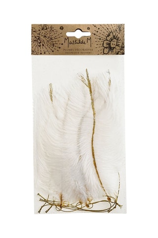 6 plumes décoratives - blanches