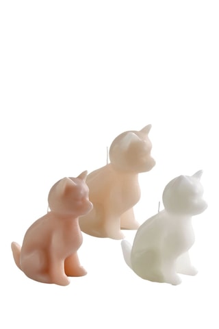6 bougies parfumées Chat