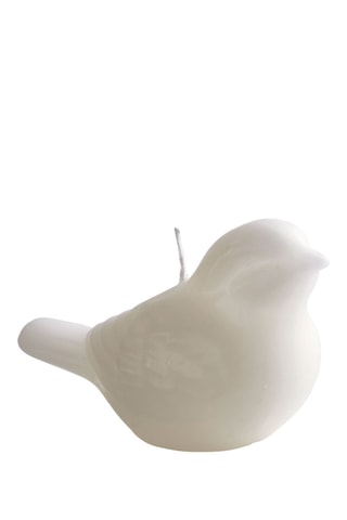 6 bougies parfumées Oiseau