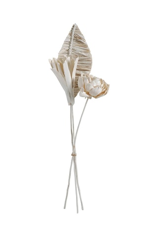 Bouquet de 3 décorations végétales séchées - Blanc