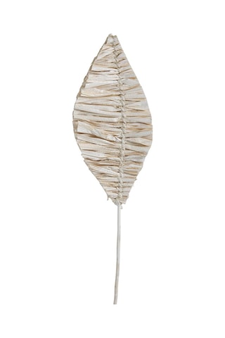 Bouquet de 3 décorations végétales séchées - Blanc