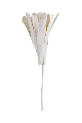 Bouquet de 3 décorations végétales séchées - Blanc
