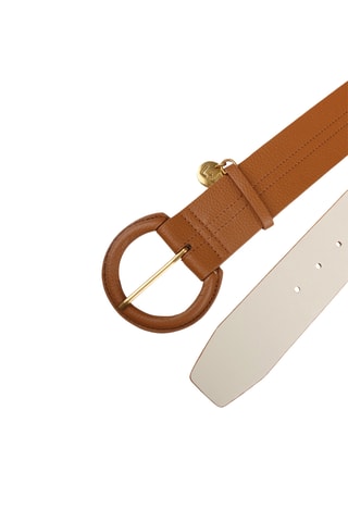 Riem - Bruin