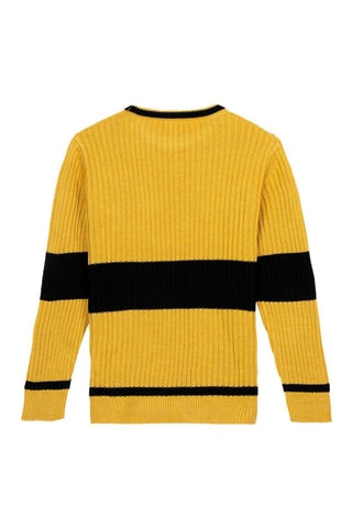 Camisola Hufflepuff - Harry Potter - Amarelo e preto