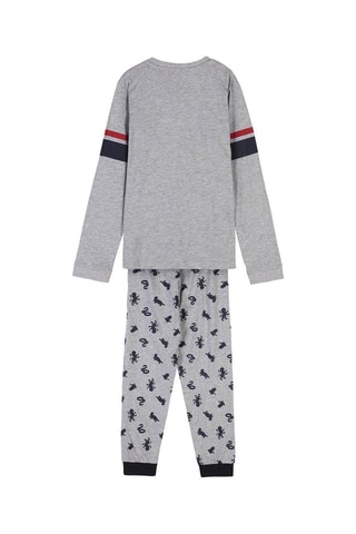 Pijama Hogwarts Harry Potter Cinzento-claro mesclado