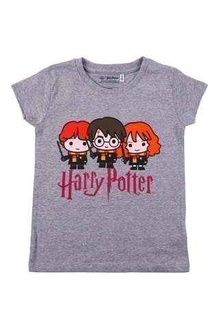 T-shirt Harry Potter Cinzento e laranja