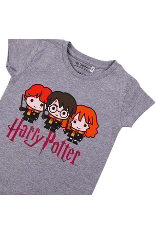 T-shirt Harry Potter Cinzento e laranja