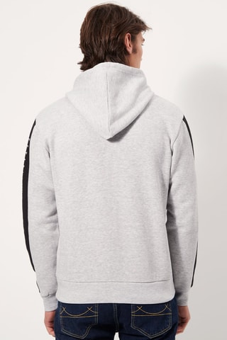 Sweat à capuche Gris