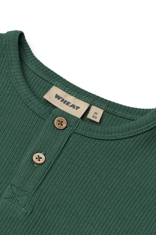 Biologisch Katoenen T-shirt Morris - Groen