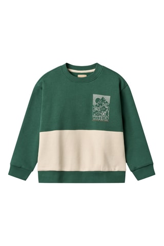 Biologisch Katoenen Sweater - Donkergroen