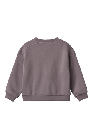 Biologisch Katoenen Sweater - Paars