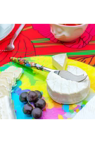 Roestvrijstalen Kaasmes Davincheese 2