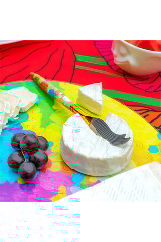 Roestvrijstalen Kaasmes Davincheese 2 Paint