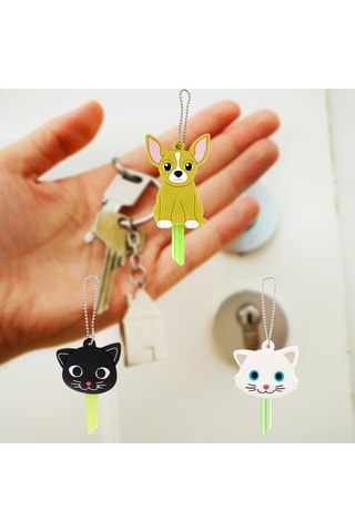 3 Sleutelhangers Ani-Cover- Lichtgroen - Multicolor