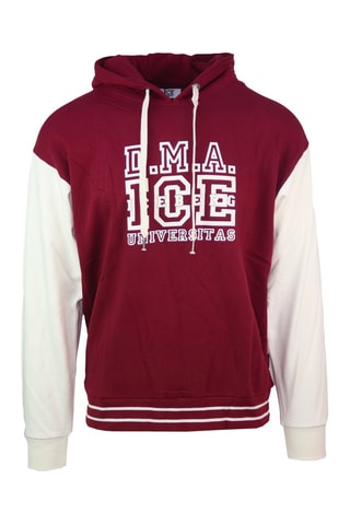 Sweater met capuchon - Bordeauxrood