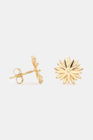 Boucles d'oreilles Marigold - Or Jaune