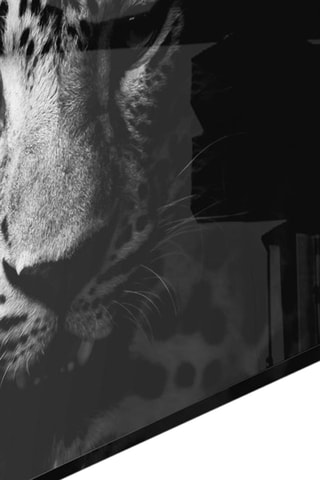 Tableau en verre trempé Leopard 