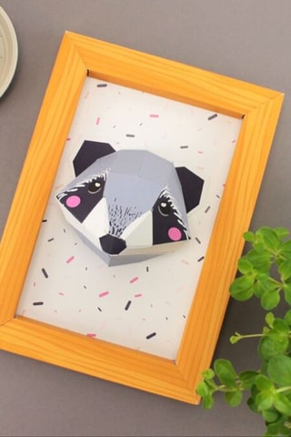Mini troféu Guaxinim - 26 x 18.5 cm