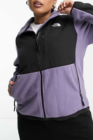 Veste polaire Denali - Gris