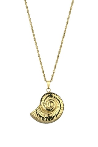 Conjunto AquaNest - Dourado