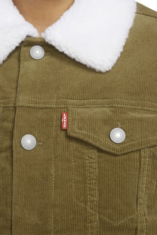 Veste - Vert
