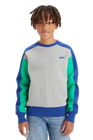 Sweat en coton biologique - Gris