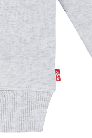 Sweat à capuche - Gris