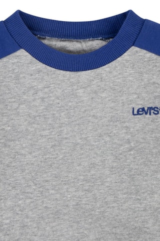 Sweat en coton biologique - Gris