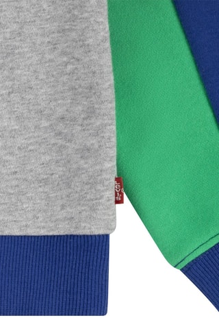 Sweat en coton biologique - Gris