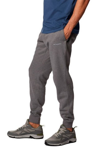 Jogging Logo Fleece II - Gris