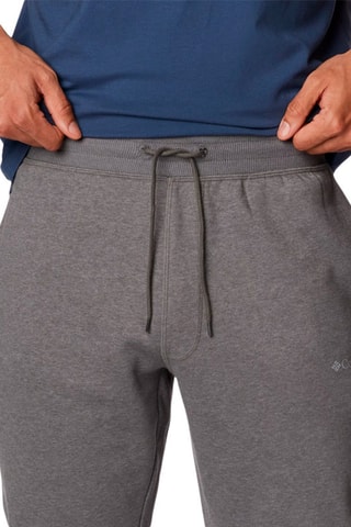 Jogging Logo Fleece II - Gris