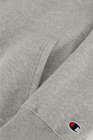 Sweat à capuche - Gris clair