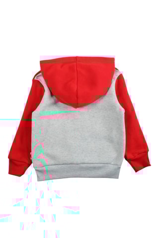 Sweat e calças de treino - Cinzento e vermelho - Lee Cooper