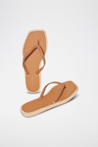 Slippers - Bruin