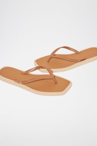 Slippers - Bruin