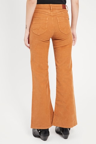 Broek Willa - Camel