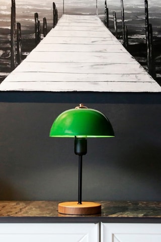 Candeeiro de mesa AYD-2796 - Verde e preto - 60 W