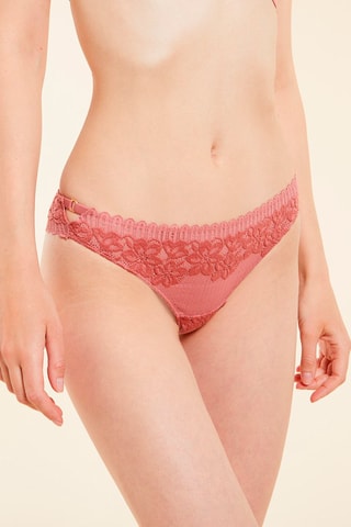 Tanga Young Terractotta
