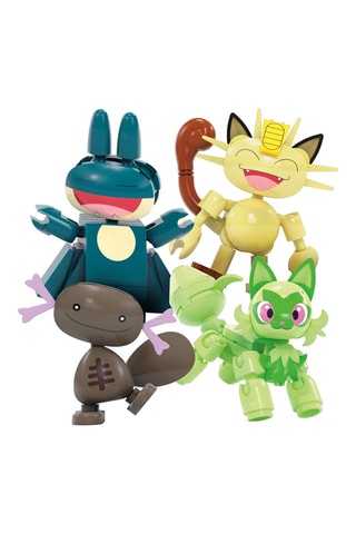 Groot Wiel Pokémon - 393-delig Vanaf 8 Jaar