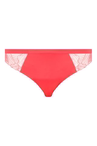 Culotte Tattoo - Rose - Chantelle