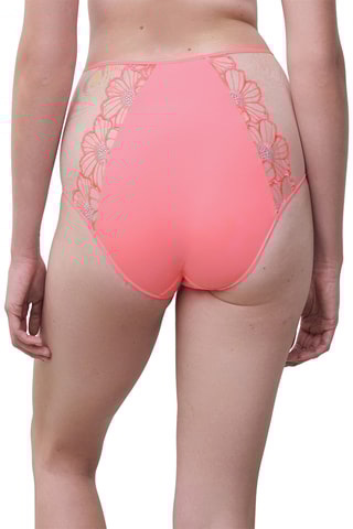 Culotte taille haute Lush - Vieux rose - Chantelle