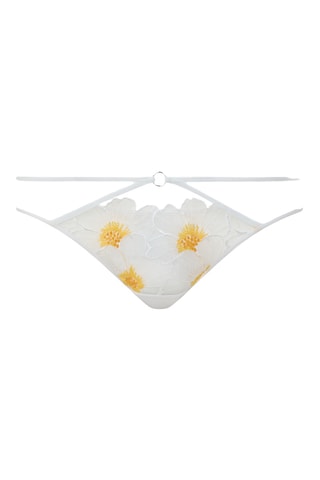 Culotte Lush - Blanc - Chantelle