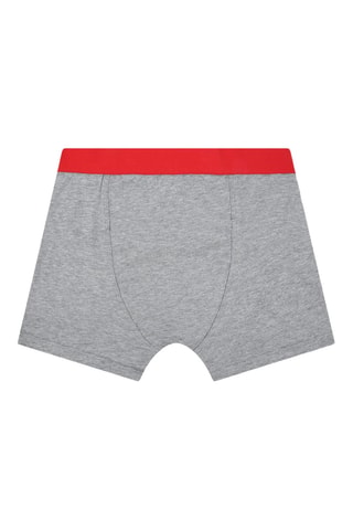 2 boxers - Gris chiné et bleu marine - Hugo