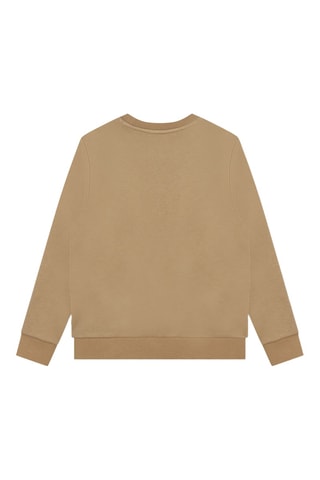 Sweat - Marron clair - Boss
